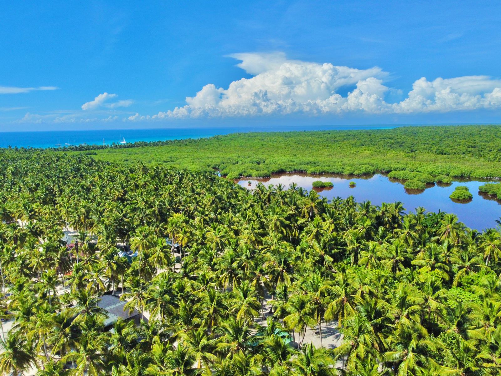 Isla saona