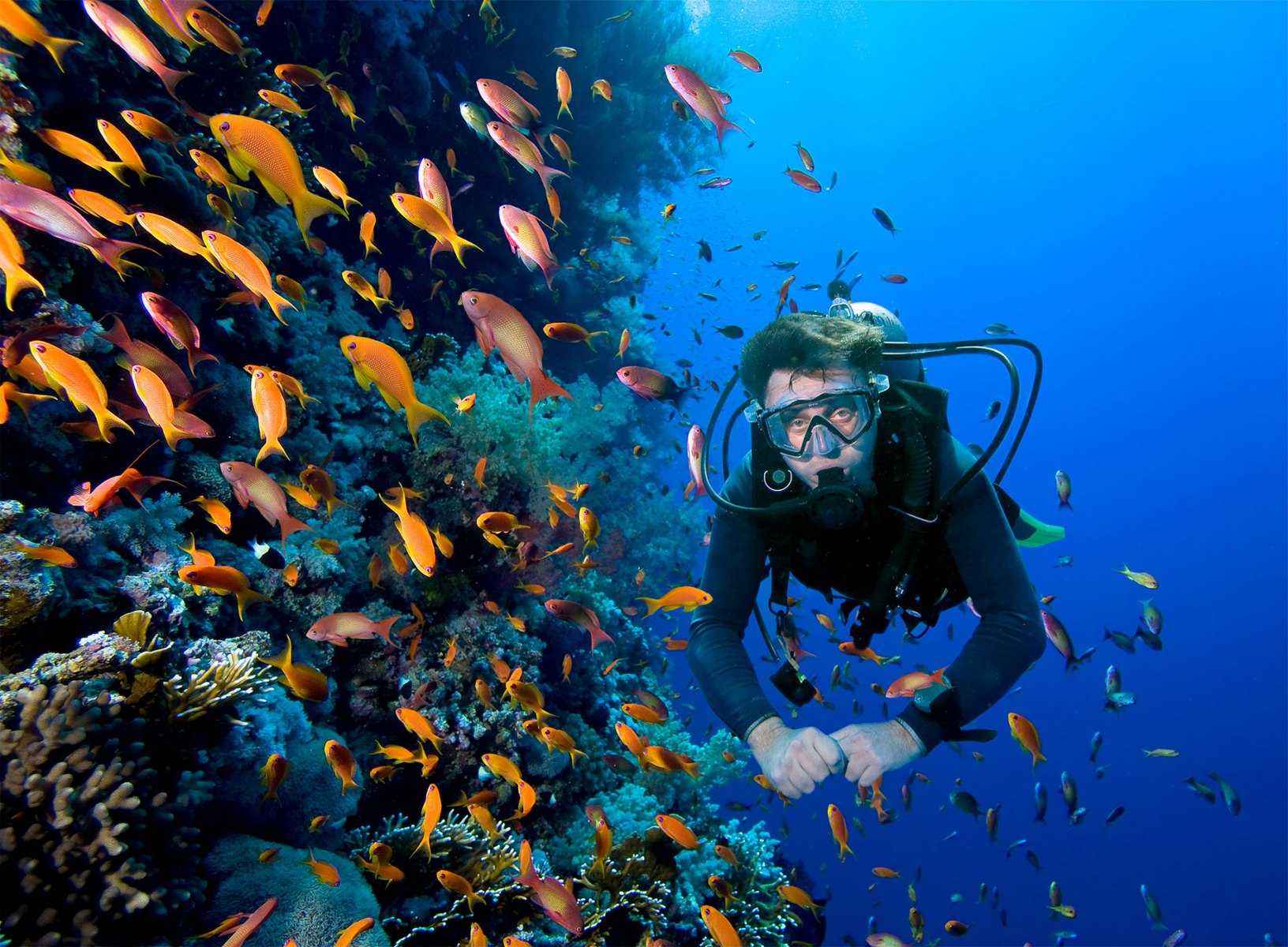 slider-buceo