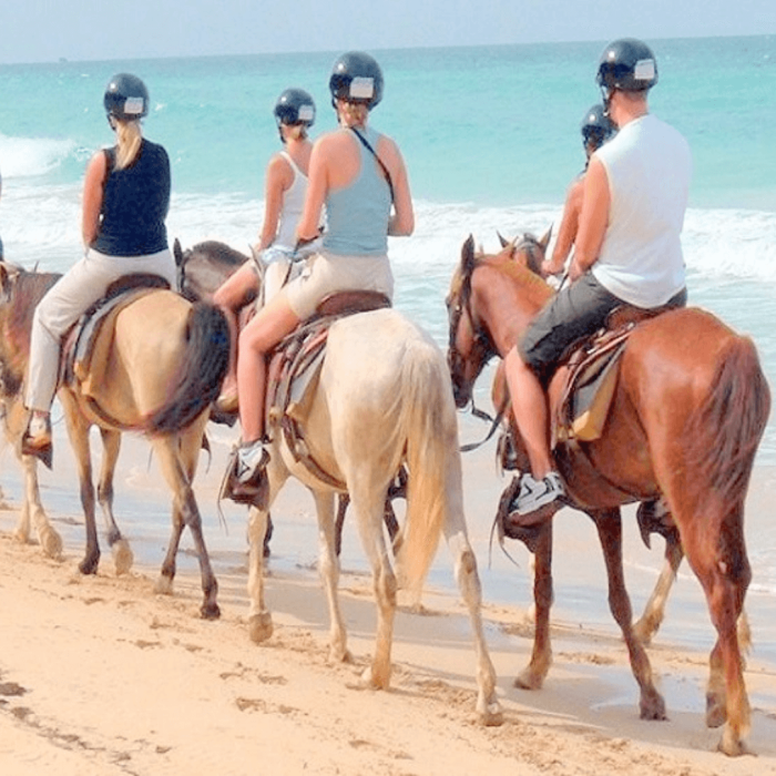 Caballos (2)