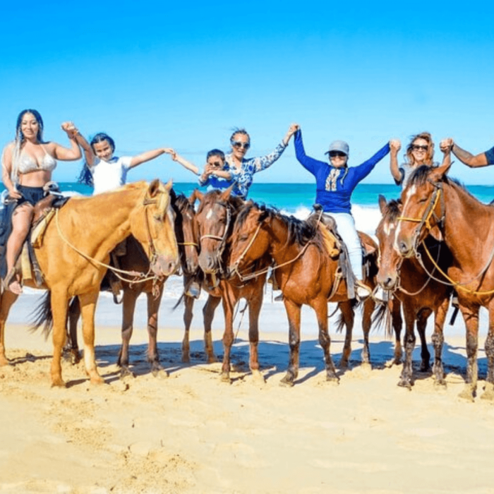 Caballos (3)