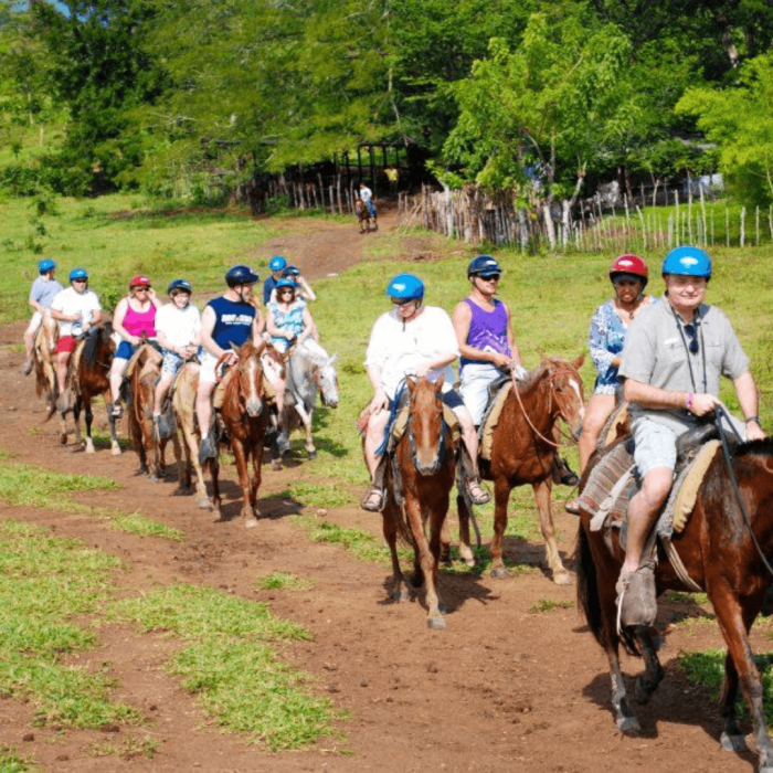 Caballos punta cana