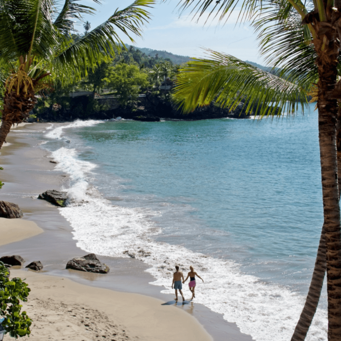 SAMANÁ DISCOVERY (2)
