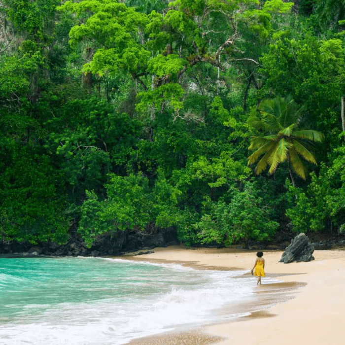 SAMANÁ DISCOVERY (5)