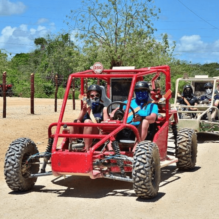 boggie punta cana (4)