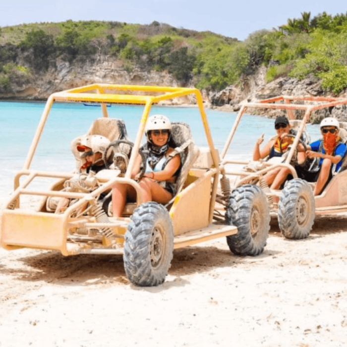 boggie punta cana