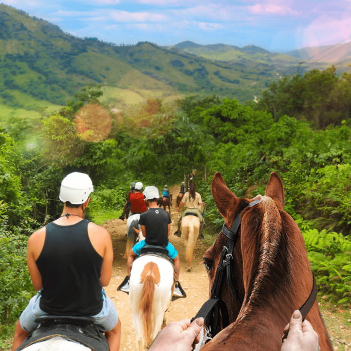 caballos (2)