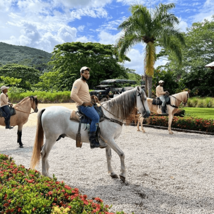 caballos