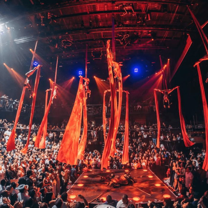 coco bongo republica dominicana (3)