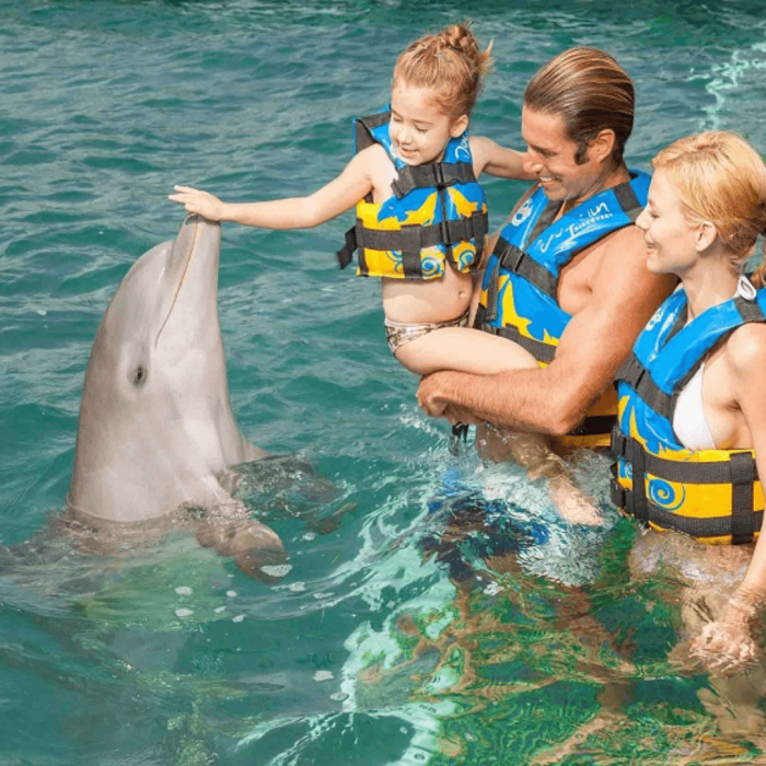 delfines punta cana (2)