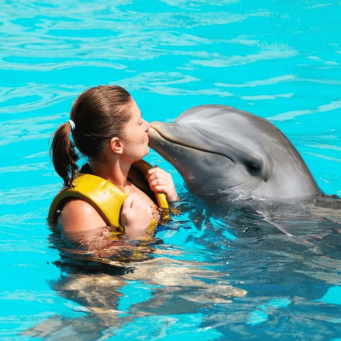 delfines punta cana