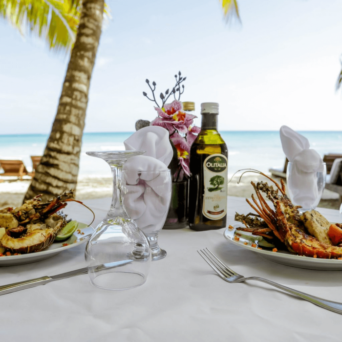 isla saona VIP (4)