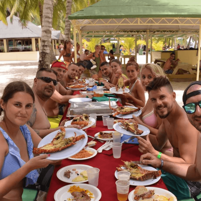isla saona VIP