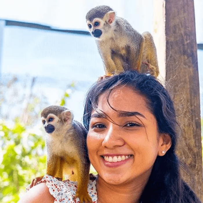 monkey land puerto plata 2
