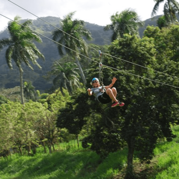 monkey land puerto plata 4