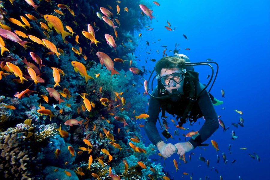 slider-buceo